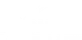Bison